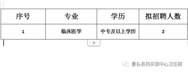 盈江县卫生健康局招聘启事，最新职位及要求详解