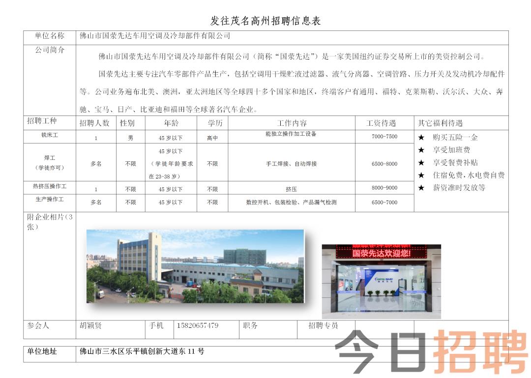 沙市区数据和政务服务局最新招聘信息解读发布