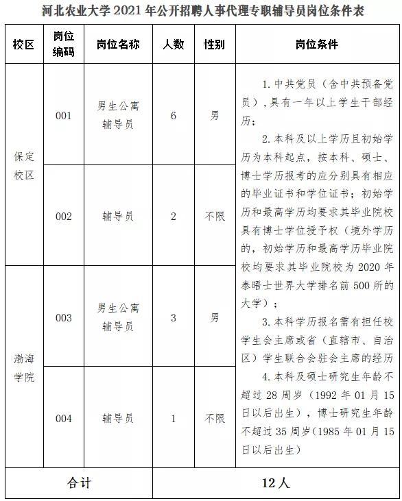 黄骅市发展和改革局最新招聘信息全面解析