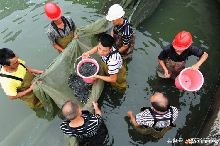 华容区文化广电体育和旅游局新项目推动文化繁荣，提升生活品质