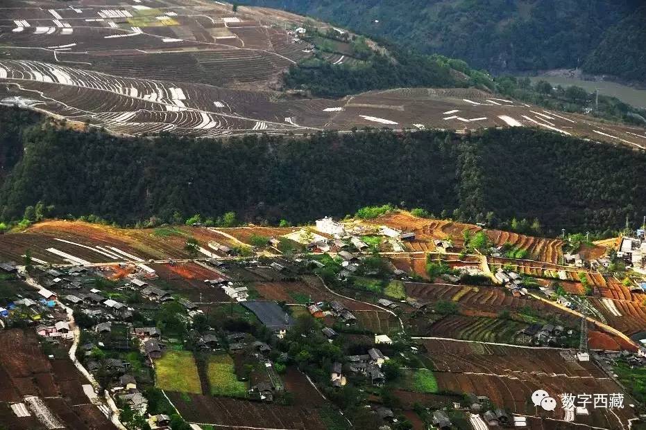 木东村展现新面貌，乡村振兴最新动态报道