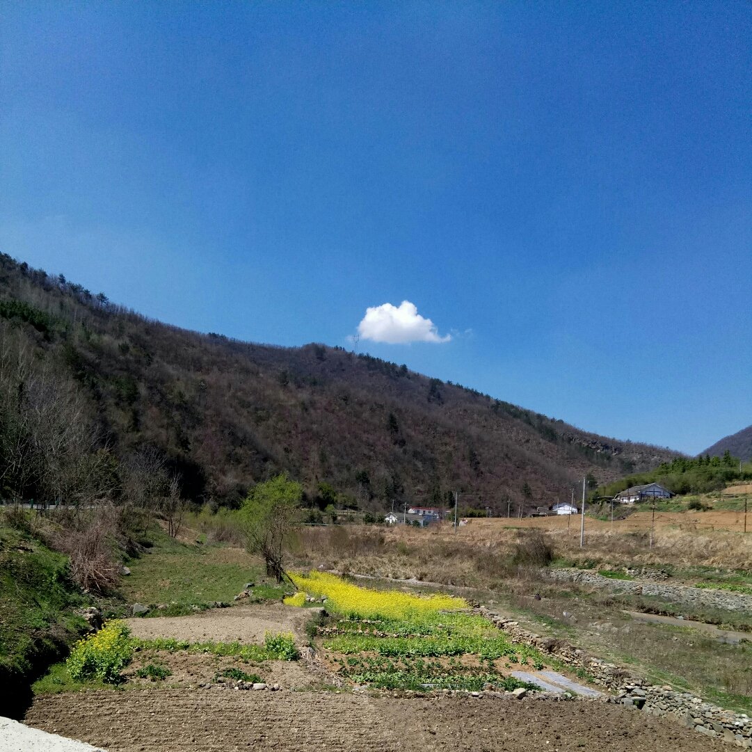 小川乡最新天气预报通知