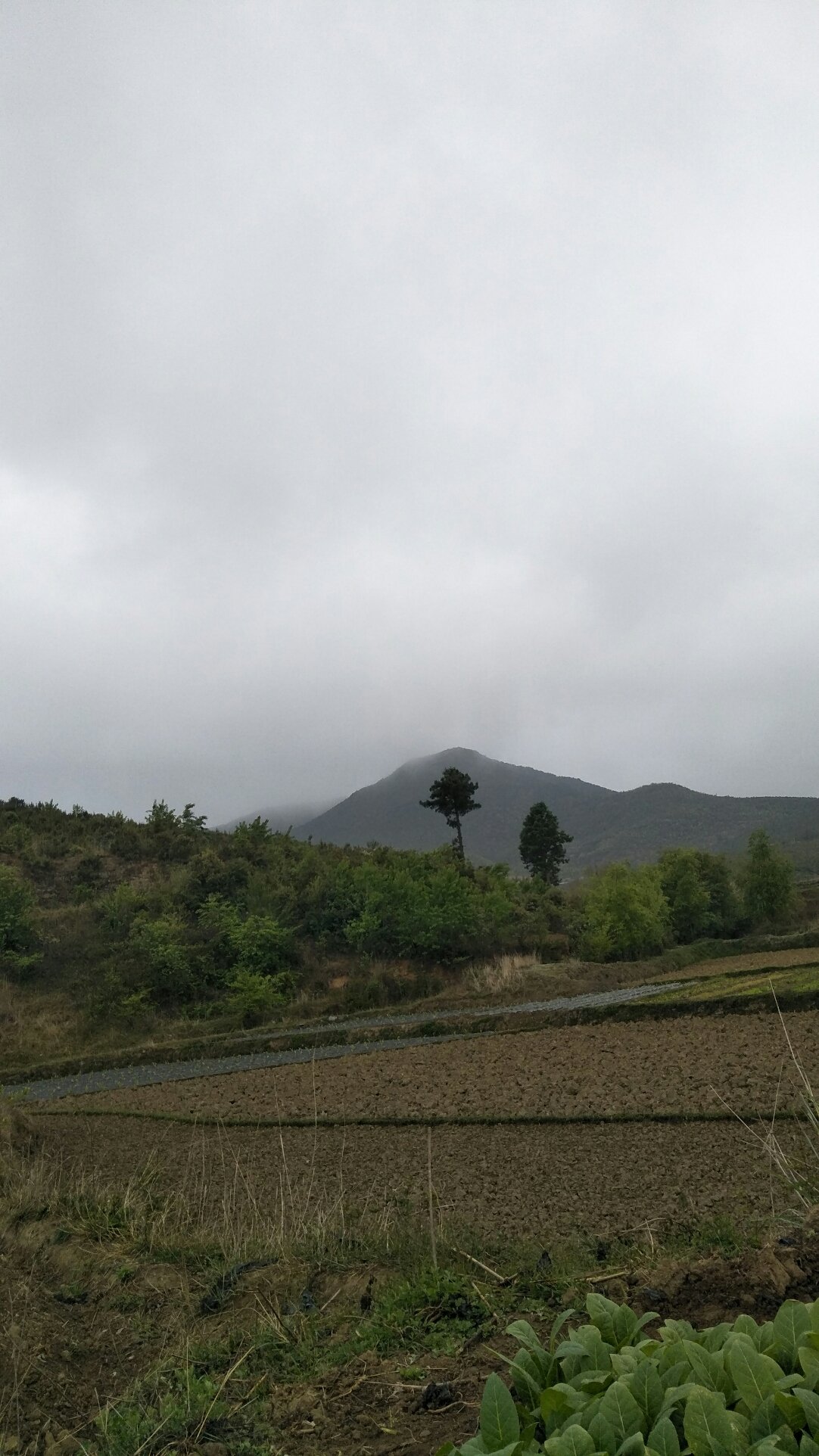 土故村天气预报更新通知