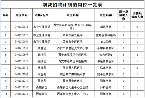 沙市区级托养福利事业单位发展规划展望