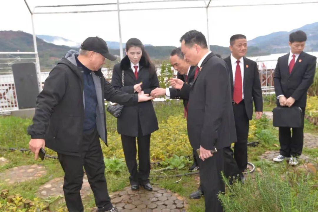 山围镇未来繁荣蓝图，最新发展规划揭秘