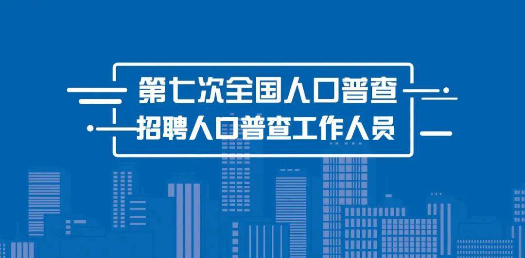 眉县统计局最新招聘概览