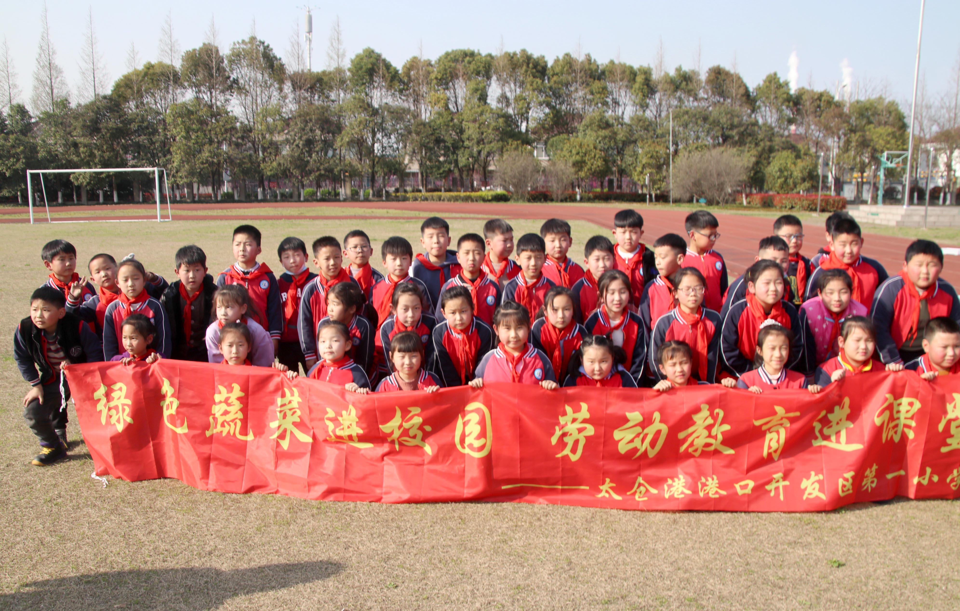 太仓市小学未来发展规划概览