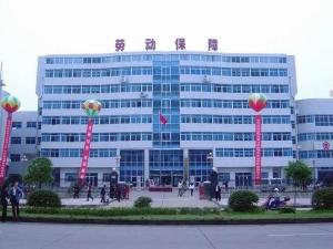 长沙市劳动和社会保障局新项目，共建美好明天，推动创新与持续发展